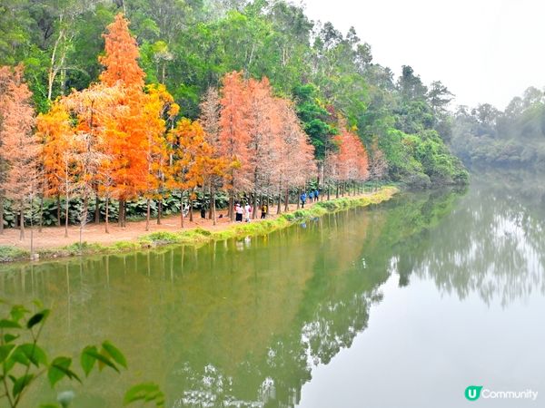 流水響水塘：香港天空之鏡 🏞️✨