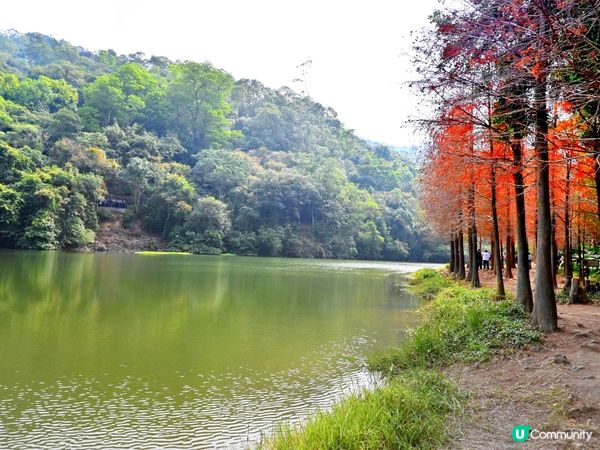 流水響水塘：香港天空之鏡 🏞️✨