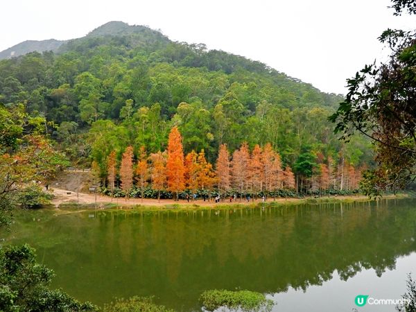 流水響水塘：香港天空之鏡 🏞️✨