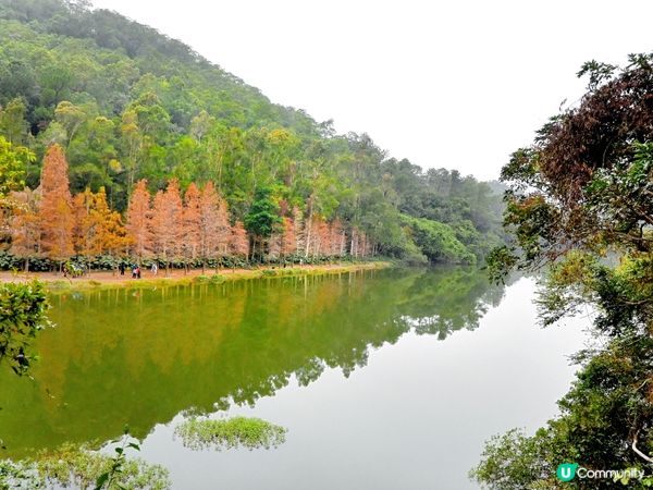 流水響水塘：香港天空之鏡 🏞️✨