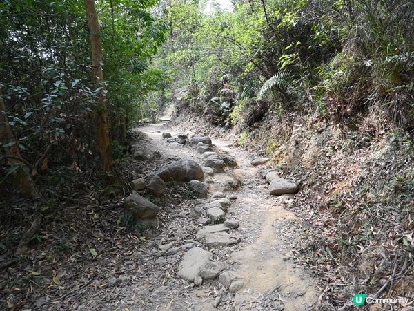 流水響水塘：香港天空之鏡 🏞️✨