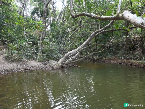 流水響水塘：香港天空之鏡 🏞️✨