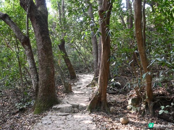 流水響水塘：香港天空之鏡 🏞️✨