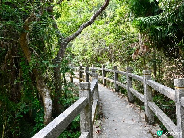 流水響水塘：香港天空之鏡 🏞️✨