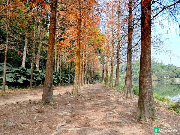 流水響水塘：香港天空之鏡 🏞️✨