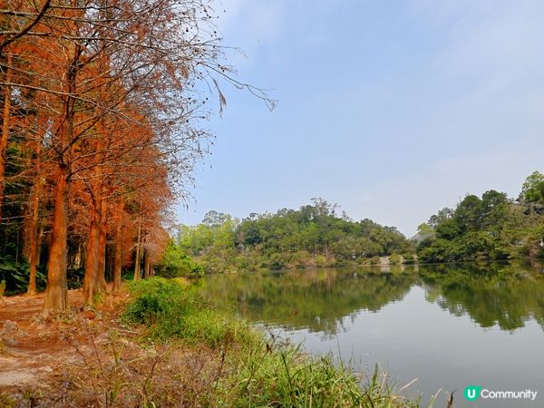 流水響水塘：香港天空之鏡 🏞️✨