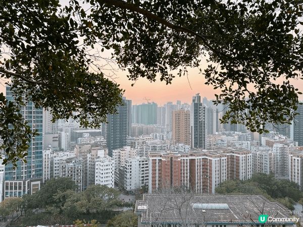嘉頓山🌟，平民夜景王！🌃