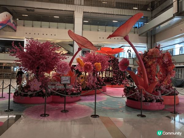 元宵打咭商場推介✨🌸🌸🌸花控首選