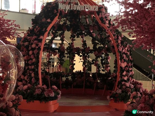 元宵打咭商場推介✨🌸🌸🌸花控首選