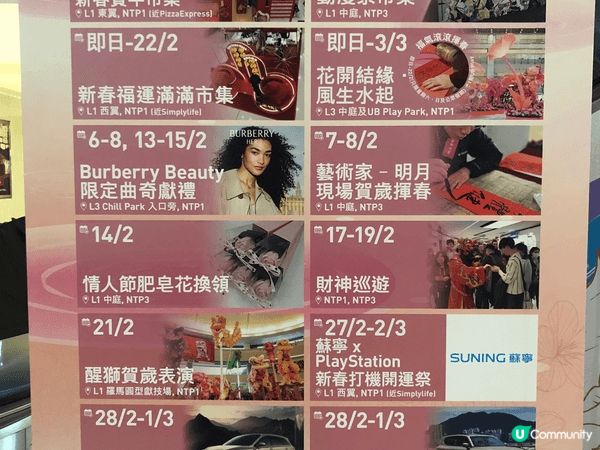 元宵打咭商場推介✨🌸🌸🌸花控首選