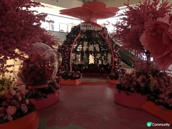 元宵打咭商場推介✨🌸🌸🌸花控首選