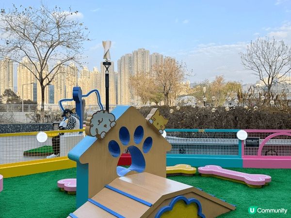 🐱🐕 青衣新寵樂園！打卡一流✨