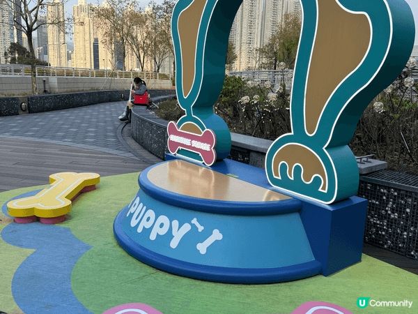 🐱🐕 青衣新寵樂園！打卡一流✨