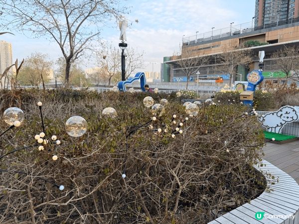 🐱🐕 青衣新寵樂園！打卡一流✨