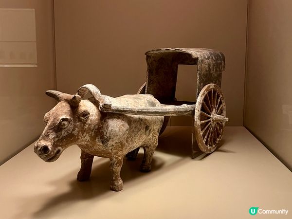 穿越古今！文化博物館遊記 ✨