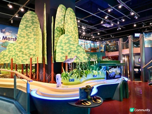 穿越古今！文化博物館遊記 ✨