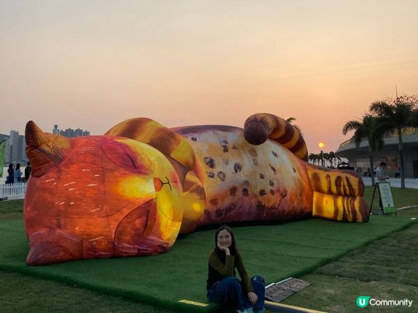 巨貓登場！🐈 維港晒月亮！😴