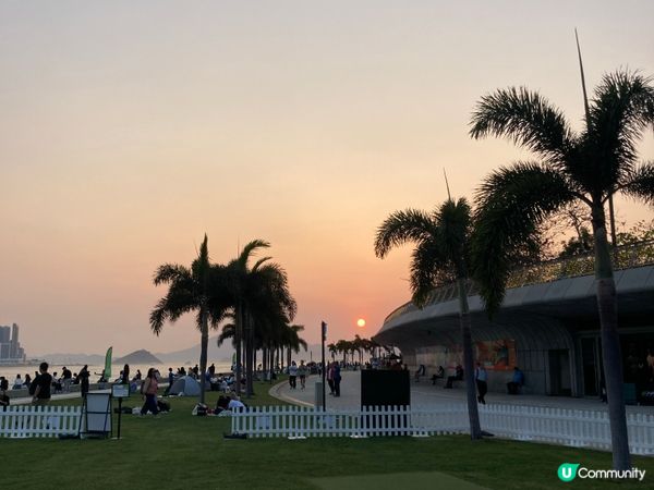 巨貓登場！🐈 維港晒月亮！😴