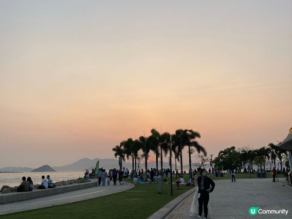 巨貓登場！🐈 維港晒月亮！😴