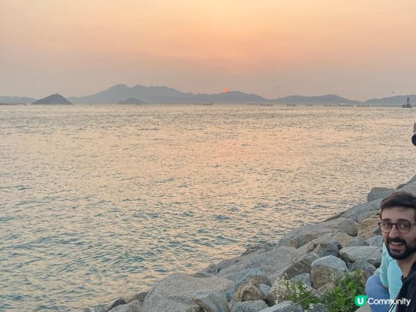 巨貓登場！🐈 維港晒月亮！😴