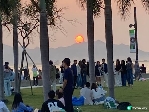 巨貓登場！🐈 維港晒月亮！😴