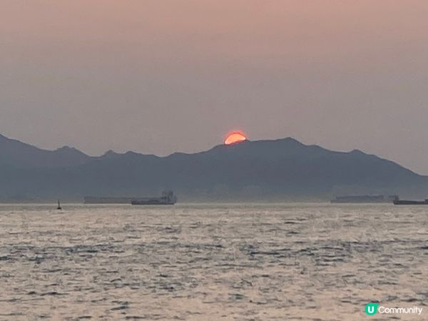 巨貓登場！🐈 維港晒月亮！😴