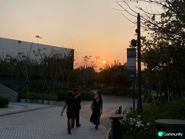 巨貓登場！🐈 維港晒月亮！😴