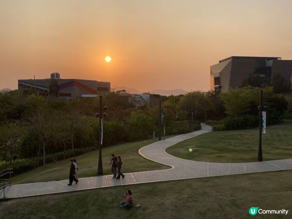 巨貓登場！🐈 維港晒月亮！😴