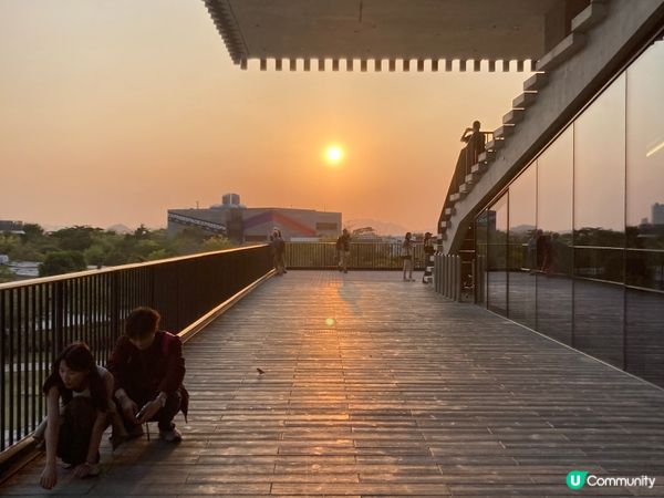 巨貓登場！🐈 維港晒月亮！😴