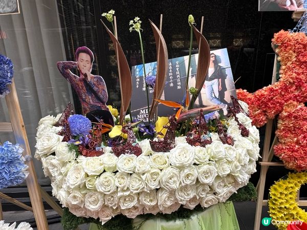 懷念哥哥🌸 23年仍是愛