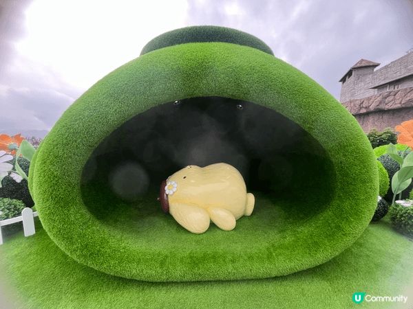 我最喜歡的布甸狗,最特別的是戴上咖啡色的畫家帽,性格懶懶的又...