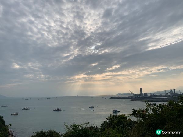 跟住地主蜥蜴遊南丫