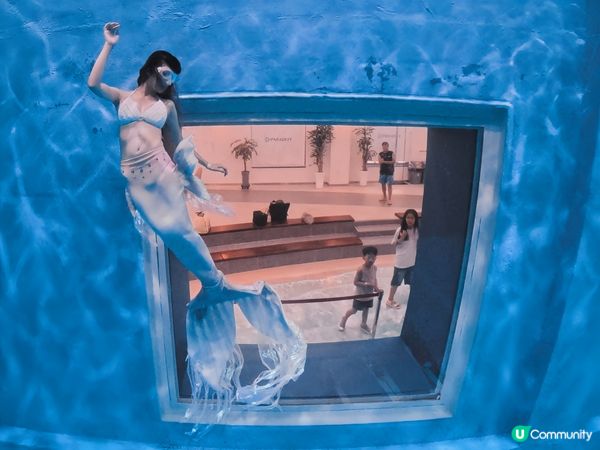 美人魚證照全球通行 🪪 變人魚水中飄逸 🧜‍♀️✨