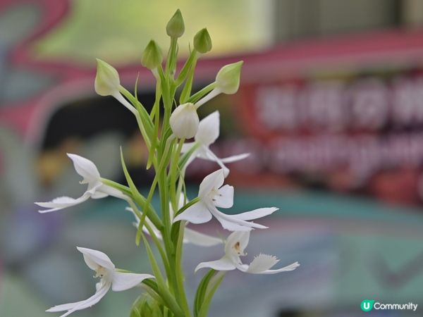 70週年的沉淀