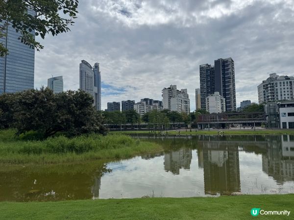 深圳親子好去處🧑‍🧑‍🧒‍🧒香蜜湖公園🛝秋天限定落羽松絕景😍