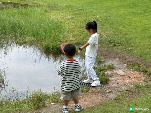 深圳親子好去處🧑‍🧑‍🧒‍🧒香蜜湖公園🛝秋天限定落羽松絕景😍