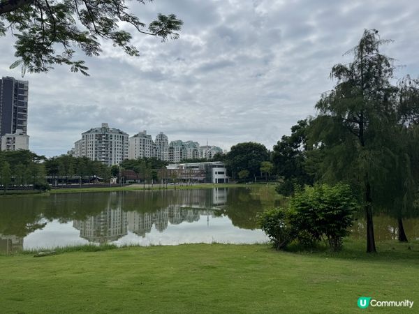 深圳親子好去處🧑‍🧑‍🧒‍🧒香蜜湖公園🛝秋天限定落羽松絕景😍