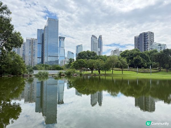 深圳親子好去處🧑‍🧑‍🧒‍🧒香蜜湖公園🛝秋天限定落羽松絕景😍