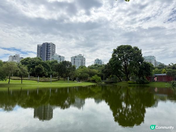 深圳親子好去處🧑‍🧑‍🧒‍🧒香蜜湖公園🛝秋天限定落羽松絕景😍