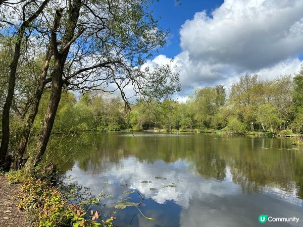 英國/🇬🇧曼徹斯特 🌳 週末森系放空地🌲 🦆