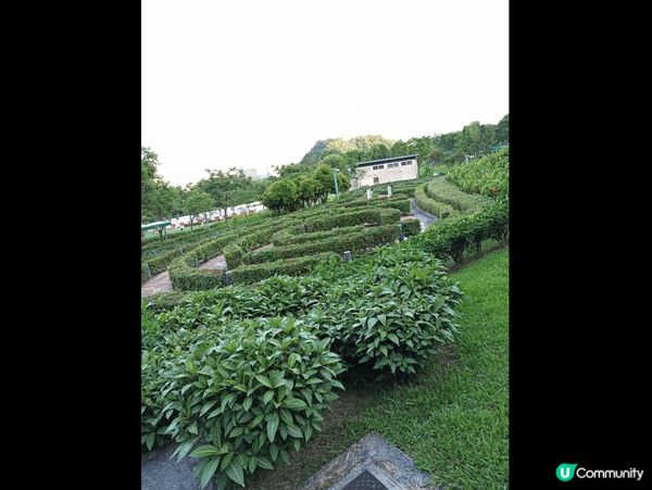 佐敦谷公園，地址：九龍觀塘新清水灣道71號，觀塘區最大的公園...