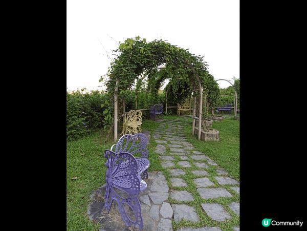 佐敦谷公園，地址：九龍觀塘新清水灣道71號，觀塘區最大的公園...