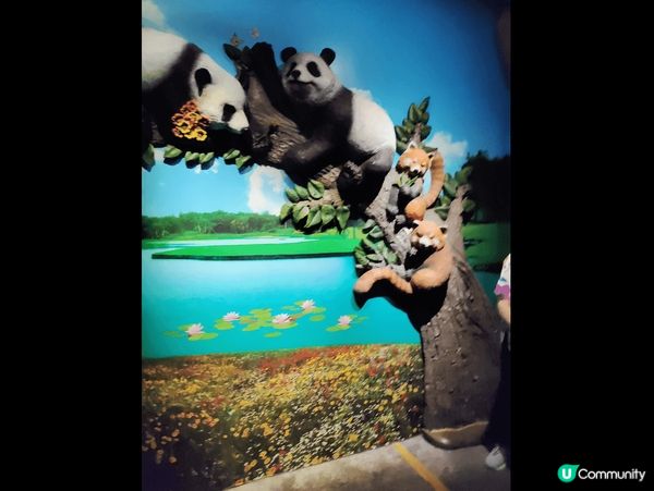 海洋公園內景點有大熱熊貓館、Disneyland小王子、懷舊...