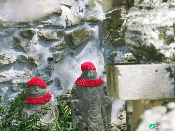 關西周邊游，京都伏見稻荷絕美日落，小衆和歌山，奈良的可愛小鹿...