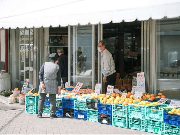 關西周邊游，京都伏見稻荷絕美日落，小衆和歌山，奈良的可愛小鹿...