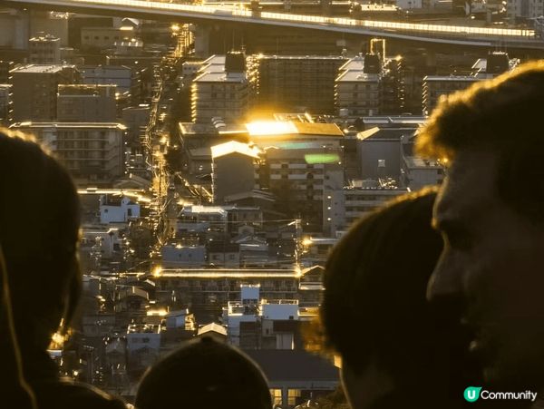 關西周邊游，奈良可愛小鹿，小衆和歌山，京都伏見稻荷絕美日落，...