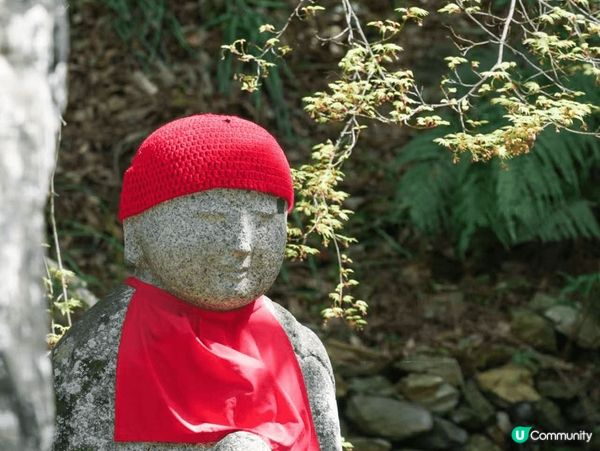 關西周邊游，奈良可愛小鹿，小衆和歌山，京都伏見稻荷絕美日落，...