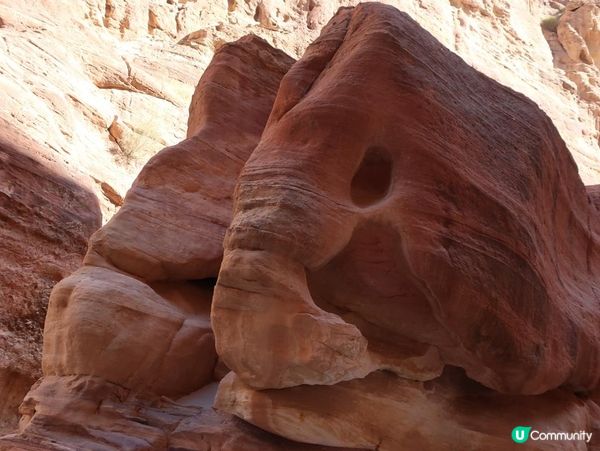 約旦佩特拉古城（Petra) - 世界七大古蹟之一