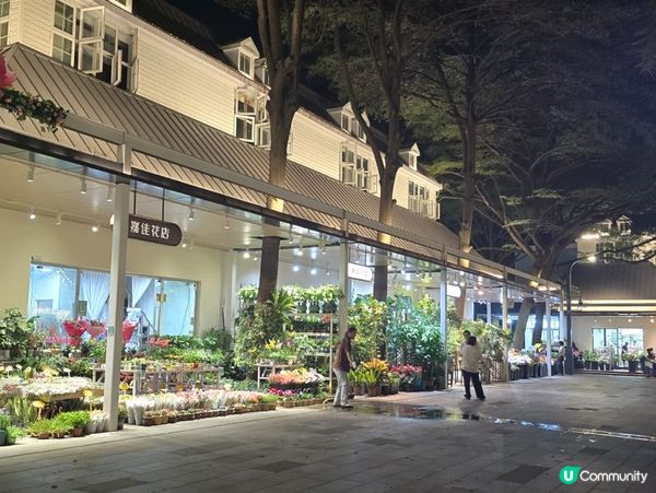 深圳荷蘭花卉小鎮