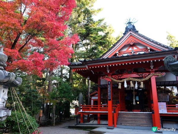 🍁 金澤賞楓秘境:兼六園旁的金澤神社⛩️